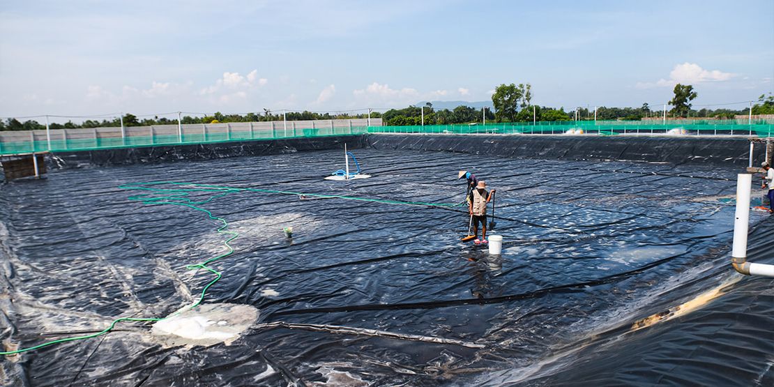 Shrimp Farming Efficiency with PVC Liners: Balancing Pros and Cons611