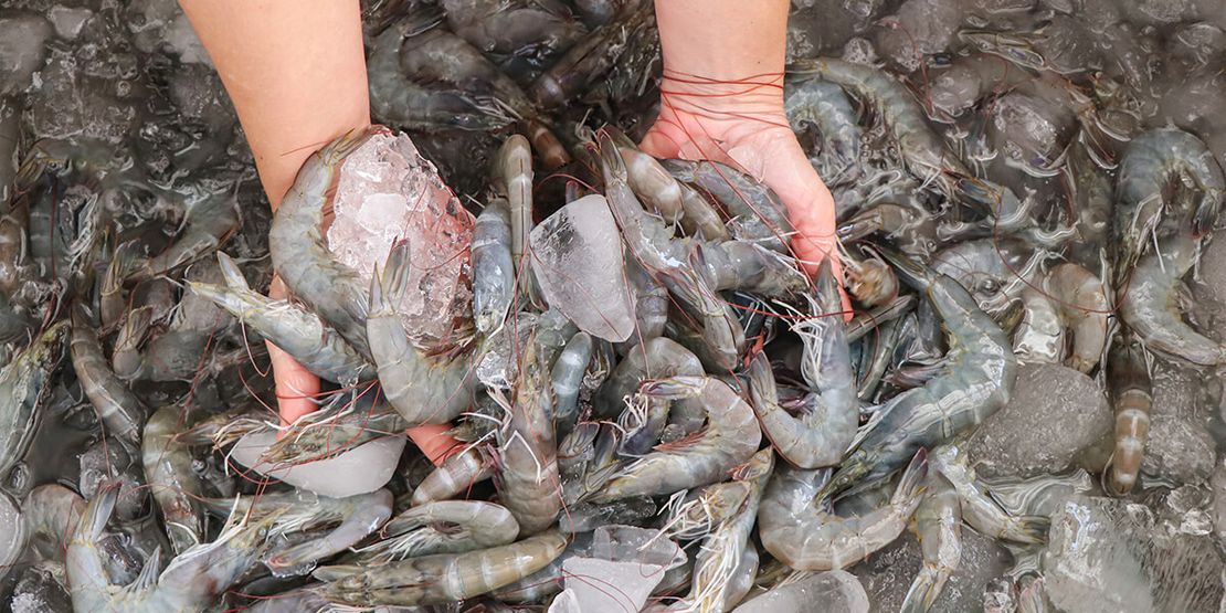 Safeguarding Shrimp Farms: Effective Strategies and Disease Prevention614