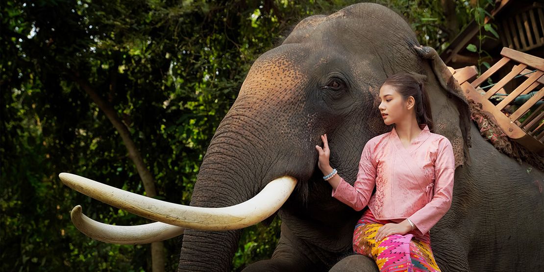 Thai Elephant Conservation Center: A Haven for Gentle Giants in Lampang450