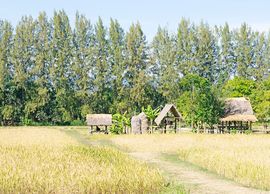 Jim Thompson Farm in Nakhon Ratchasima
