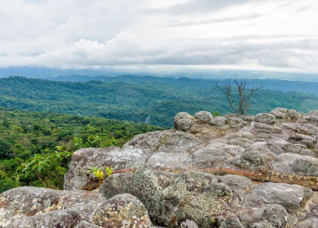 Beautiful Nature Landscape Green Forests Lan Hin Pum Viewpoint with Strange Stone Shapes Caused by Erosion Is Famous Nature Attractions Phu Hin Rong Kla National Park Phitsanulok Thailand