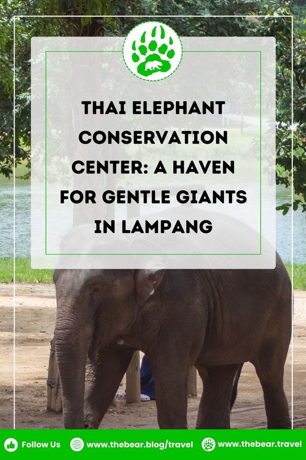 Thai Elephant Conservation Center A Haven for Gentle Giants in Lampang