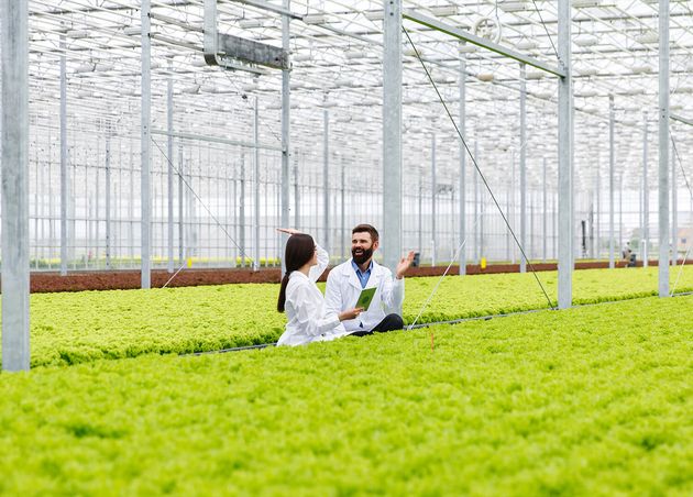 Two Researches Man Woman Examine Greenery with Tablet All White Greenhouse