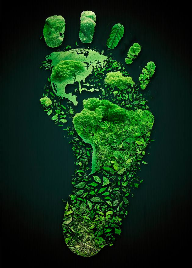 Ecological Footprint as Symbol Environmental Care Green Future Generative Ai