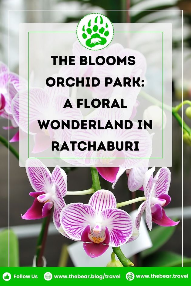 The Blooms Orchid Park - A Floral Wonderland in Ratchaburi