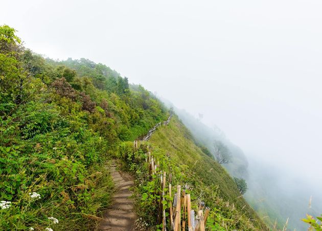 Kew Mae Pan Nature Trail (เส้นทางศึกษาธรรมชาติ กิ่วแม่ปาน)_Top 10 Doi Inthanon Mountain Attractions in Chiang Mai from D (Big Bear) of The Bear Travel