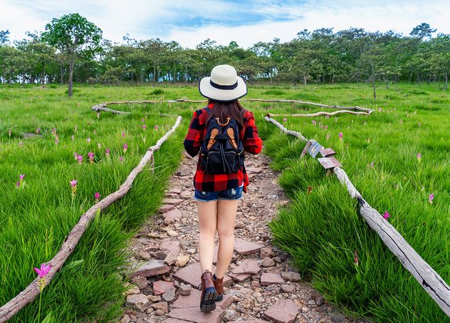 Woman Traveler with Backpack Walking Krachiew Flower Field Thailand Travel Concept