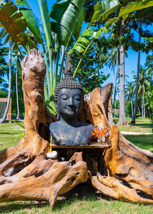 Head Buddha Image Tree Root Tropical Garden Island Koh Phangan Thailand
