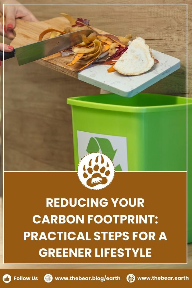 Reducing Your Carbon Footprint: Practical Steps for A Greener Lifestyle
