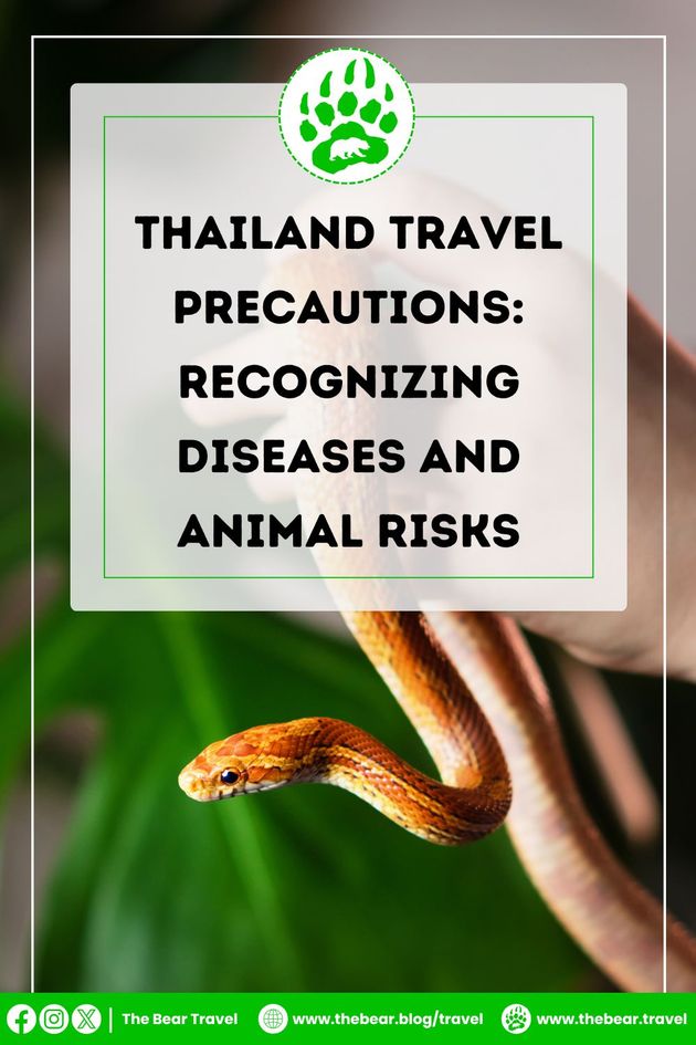 Thailand Travel Precautions: Recognizing Diseases and Animal Risks