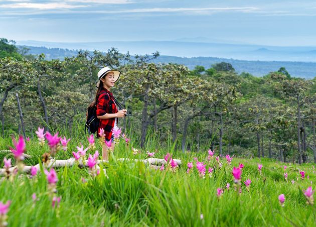 Woman Traveler with Backpack Enjoying Krachiew Flower Field Thailand Travel Concept