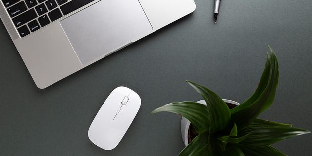 Mouse, Trackpad, or Both? Deciding What Works Best