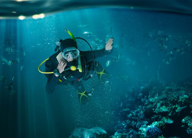 Diver Wetsuit Diving Gear Underwater View