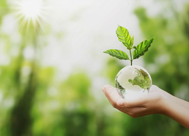 Hand Holding Glass Globe Ball with Tree Growing Green Nature Blur Background