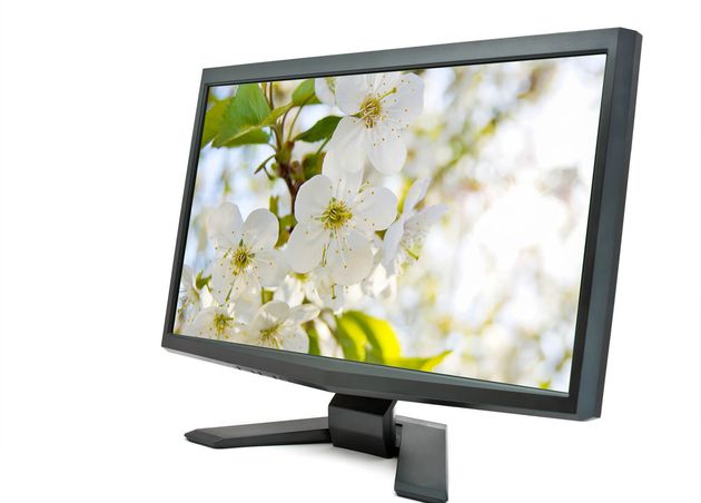 Lcd Monitor Isolated White Background with Cherry Blossoms Screen My Photo