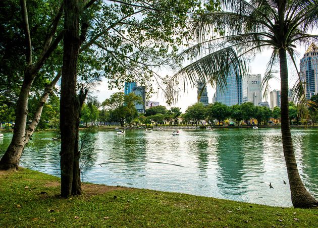 Beautiful View Lumpini Park Located Bangkok Thailand