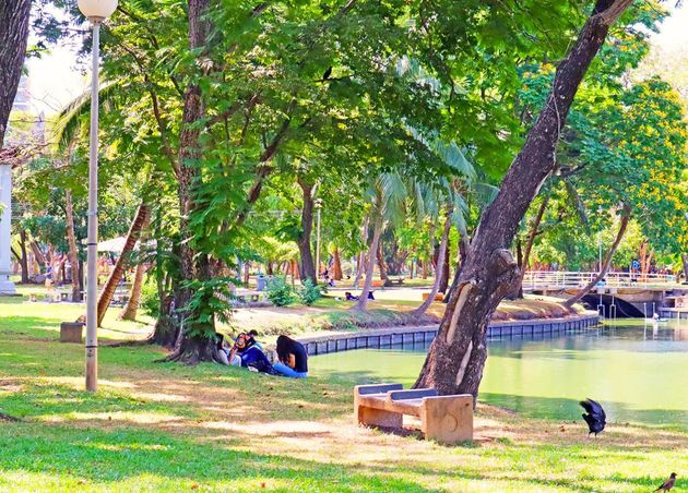 Lumphini Park (สวนลุมพินี)_Silom's Finest: Top 10 Activities to Explore in Bangkok's District from D (Big Bear) of The Bear Travel