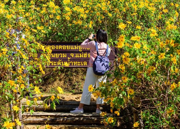 Tourists Taking Pictures Khun Yuam Mae Hong Son Thailand