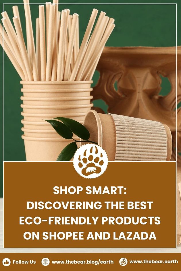 Shop Smart Discovering The Best Eco Friendly Products on Shopee and Lazada