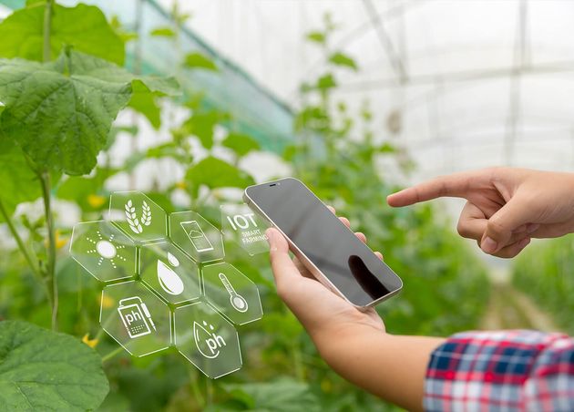 Internet Things Iot with Farming Smart Concept Agriculture Modern Technology Are Used