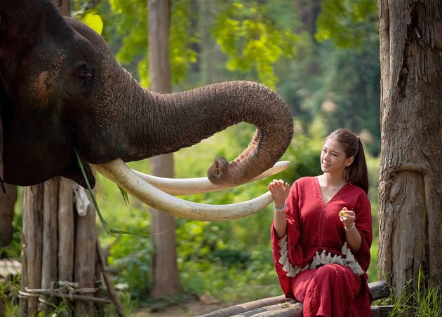 Asian Female Tourist Feeds Elephant Thai Elephant Education Center Lampang Province Thailand