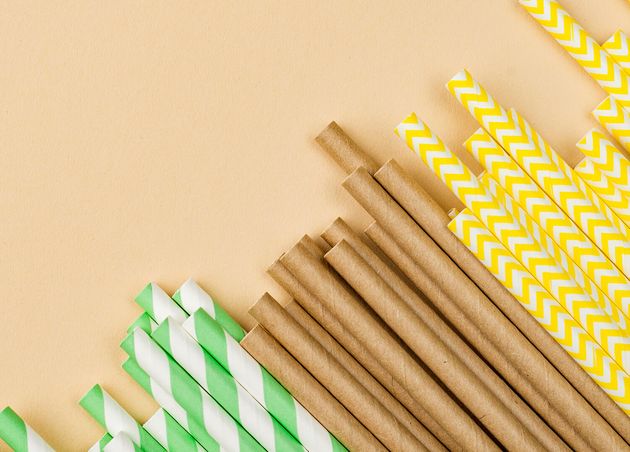 Paper Bamboo Eco Straws