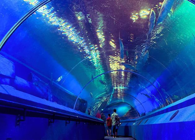 Underwater Tunnel at Underwater World Pattaya