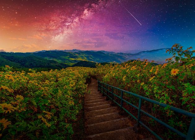 Landscape Milky Way Mexican Sunflower Tung Bua Tong Flower Mountain Mae Hong Son Province Thailand