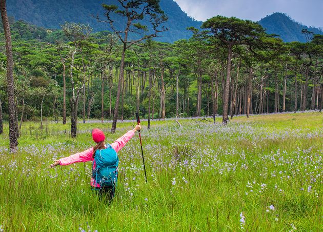 Young Girl Pink Jacket Hiking and Having Fun in the Mountains Phu Soi Dao National Park Uttaradit Province Thailand