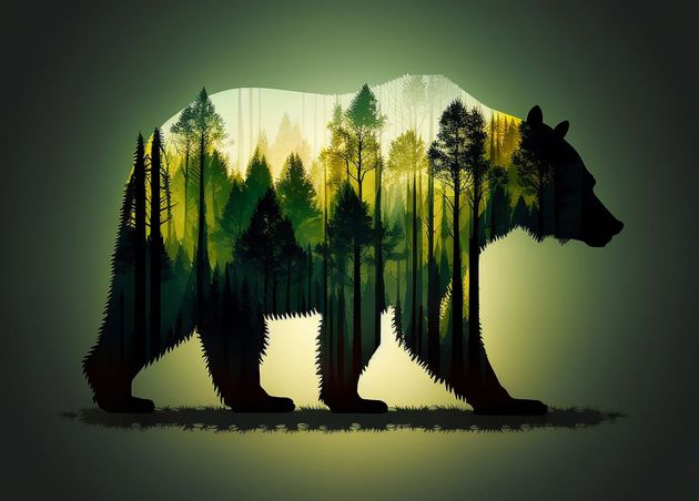 Silhouette Bear with Image Forest
