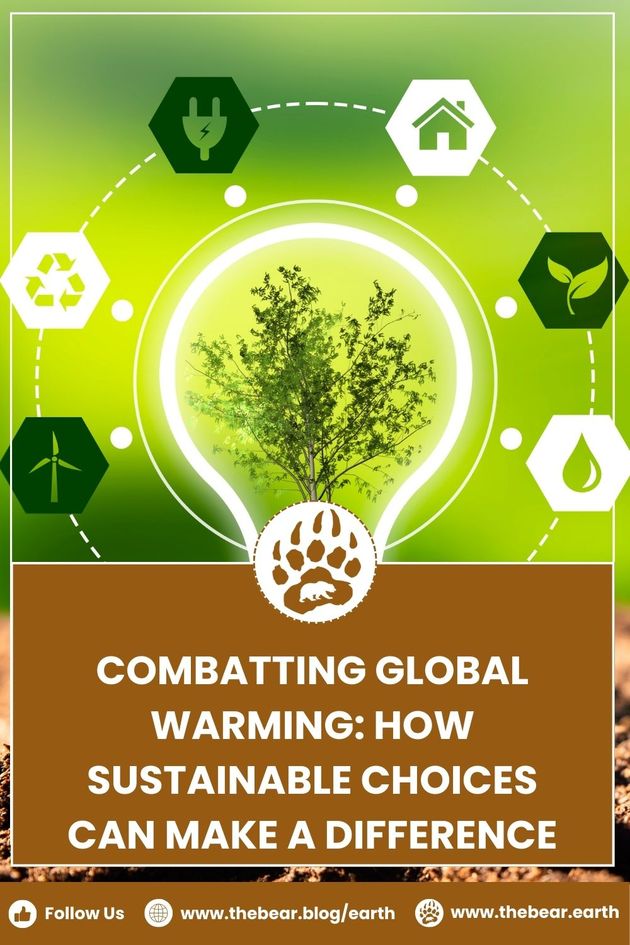 Combatting Global Warming How Sustainable Choices Can Make A Difference