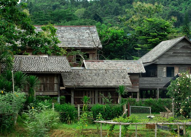 Vintage Wooden House Suburb Thailand with Green Natural Forest