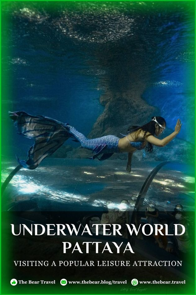 Underwater World Pattaya: Visiting A Popular Leisure Attraction