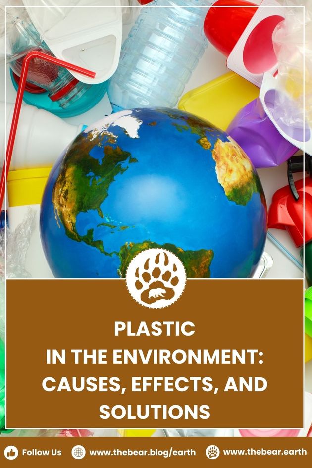 Plastic in The Environment: Causes, Effects, and Solutions