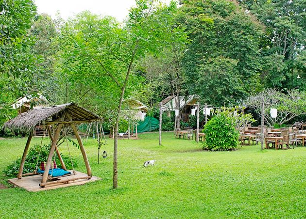 Lush Green Area at Hintok River Camp