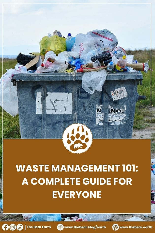 Waste Management 101: A Complete Guide for Everyone