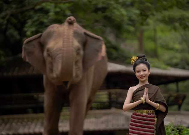 Thai Elephant Conservation Center: A Haven for Gentle Giants in Lampang