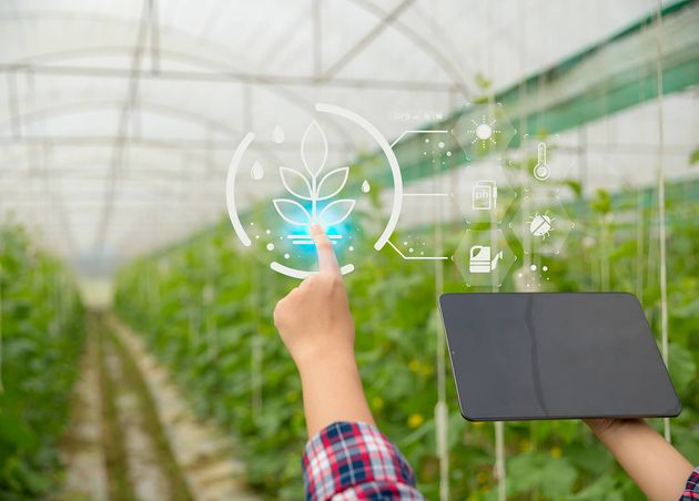 Internet Things Iot with Farming Smart Concept Agriculture Modern Technology Are Used