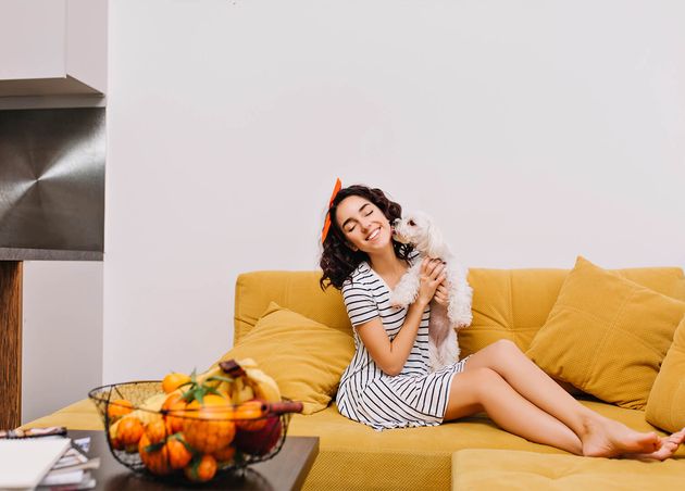 Amazing Joyful Young Woman with Cut Brunette Hair Dress Chilling with Dog Sofa Modern Apartment Having Fun Home Pets Joy Home Comfort Cosy Leisure Weekends